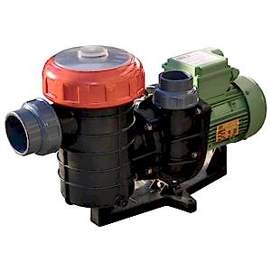 sirin-3-4-hp-on-filtreli-havuz-pompa-2